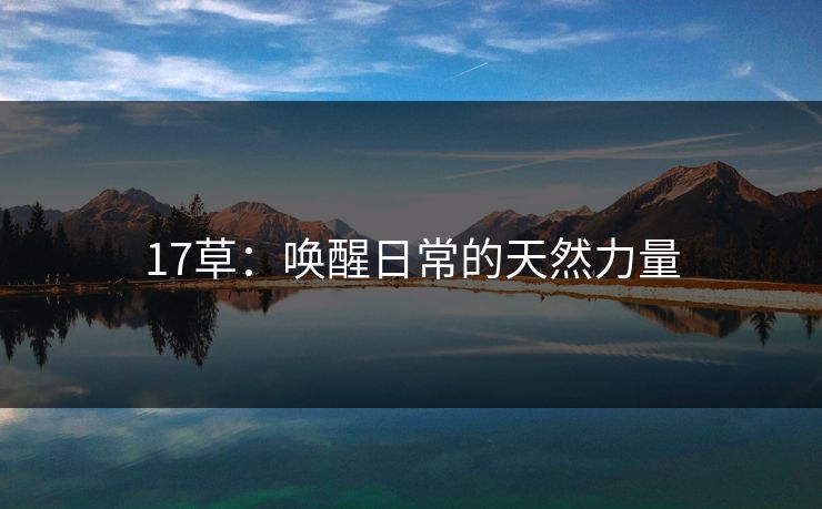 17草：唤醒日常的天然力量