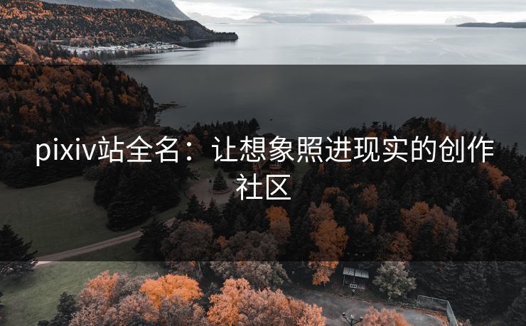 pixiv站全名：让想象照进现实的创作社区