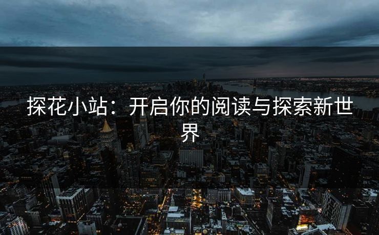 探花小站：开启你的阅读与探索新世界