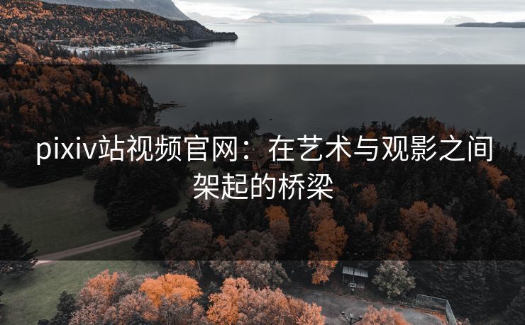 pixiv站视频官网：在艺术与观影之间架起的桥梁