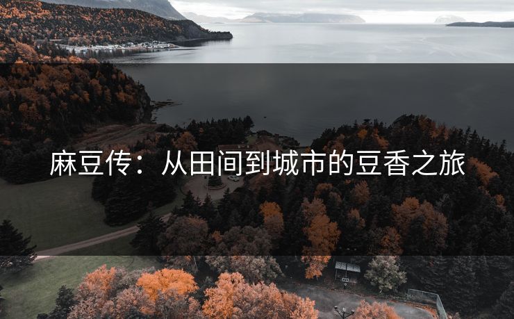 麻豆传：从田间到城市的豆香之旅