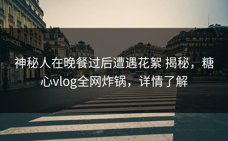 神秘人在晚餐过后遭遇花絮 揭秘，糖心vlog全网炸锅，详情了解