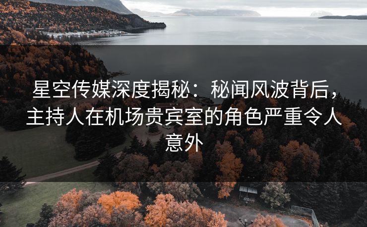 星空传媒深度揭秘：秘闻风波背后，主持人在机场贵宾室的角色严重令人意外