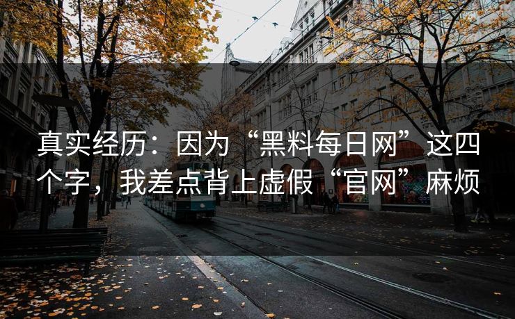 真实经历：因为“黑料每日网”这四个字，我差点背上虚假“官网”麻烦