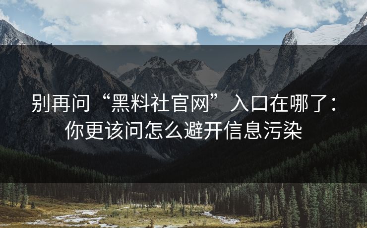 别再问“黑料社官网”入口在哪了：你更该问怎么避开信息污染